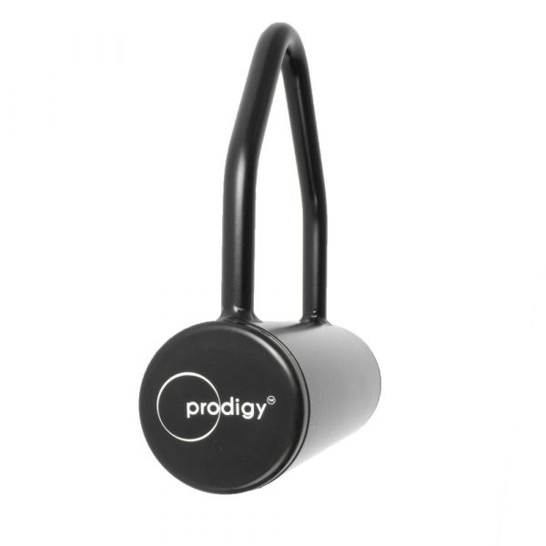 Prodigy Aerial Silks Hook